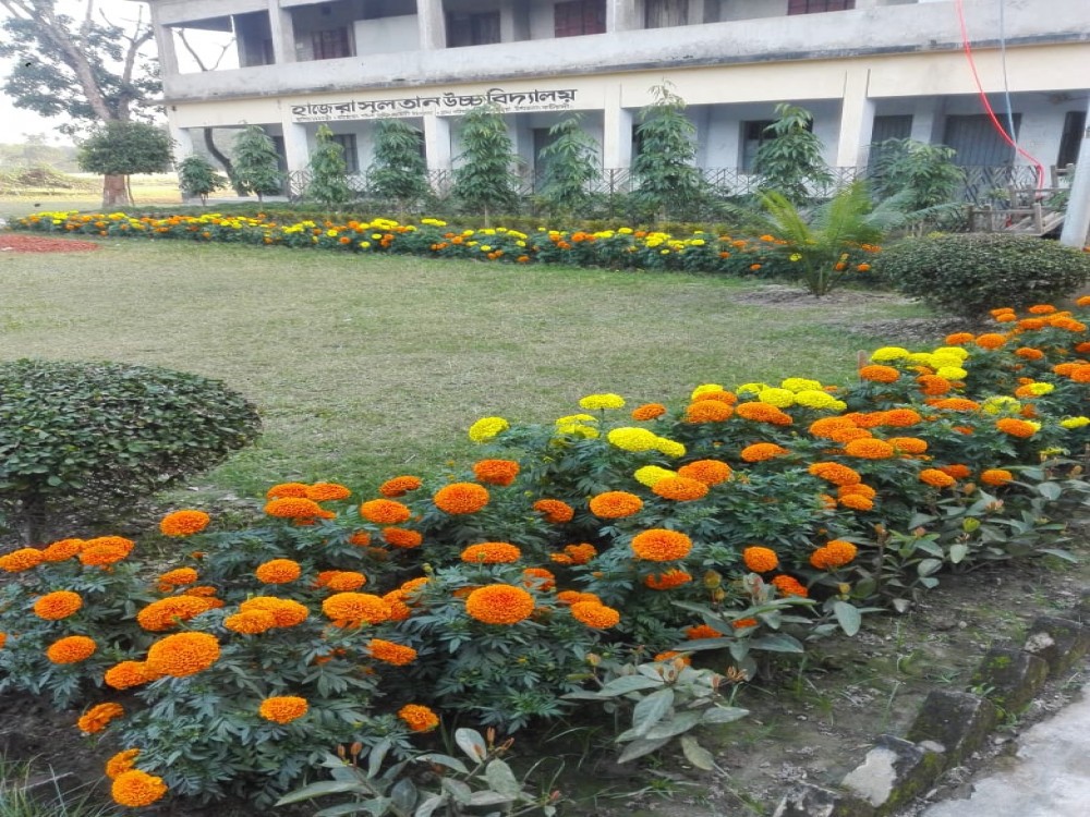 Slider Image of Hazera Sultan High School